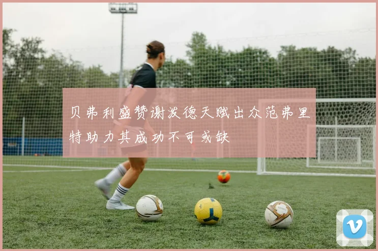 贝弗利盛赞谢泼德天赋出众范弗里特助力其成功不可或缺