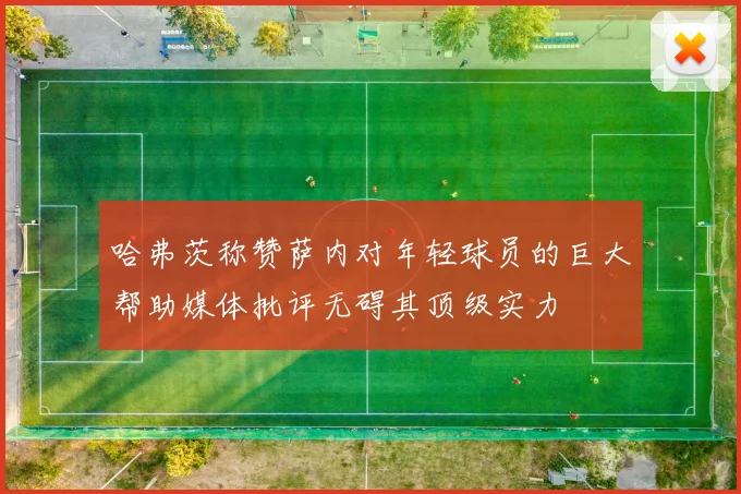 哈弗茨称赞萨内对年轻球员的巨大帮助媒体批评无碍其顶级实力