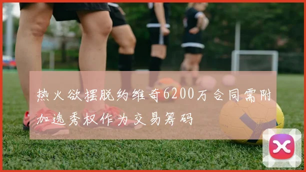 热火欲摆脱约维奇6200万合同需附加选秀权作为交易筹码